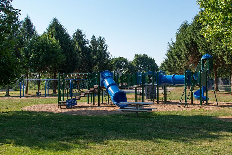 Hellane Park Playground Equipment