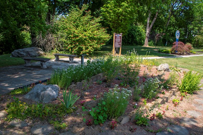 Rotary Club Long Meadows Park_7273