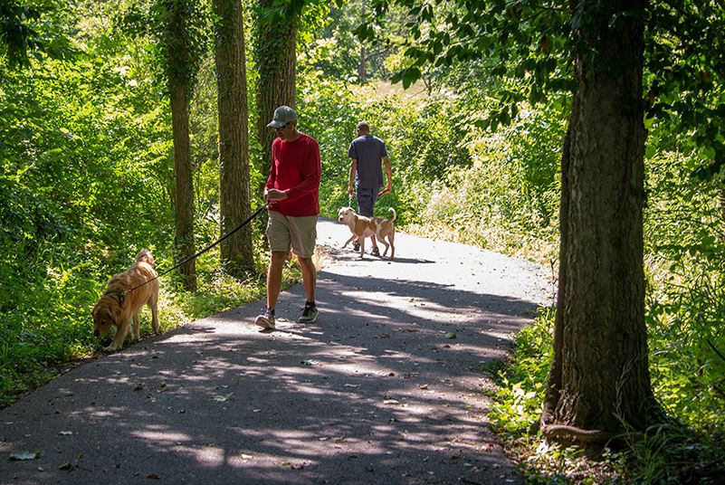 Mills Park Walking Trail