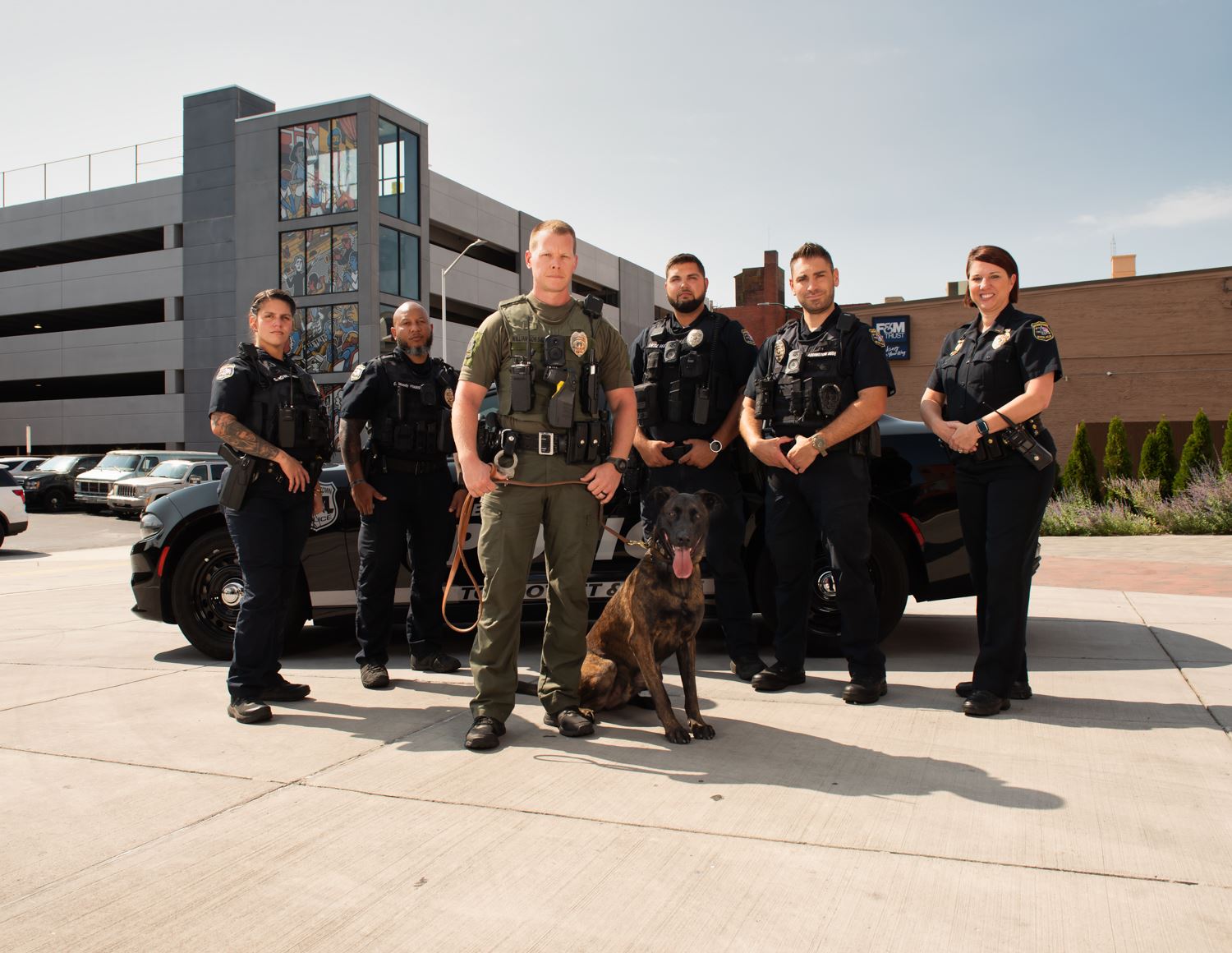 Now Hiring Deck wBentley