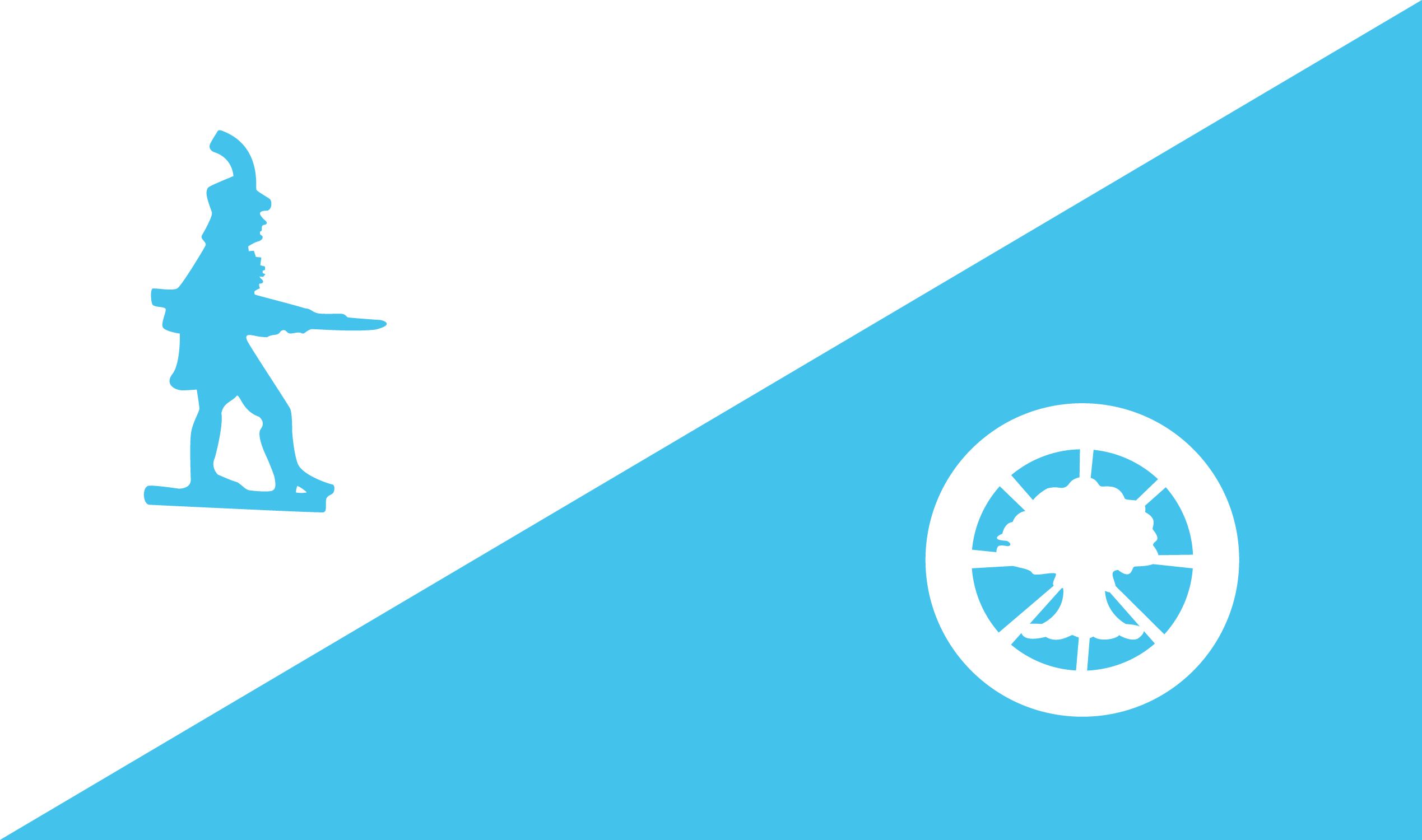 Hagerstown Flag