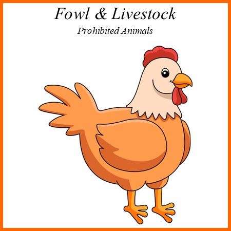 Fowl and Livestock Image
