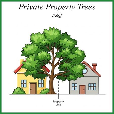 Private Property Tree Image