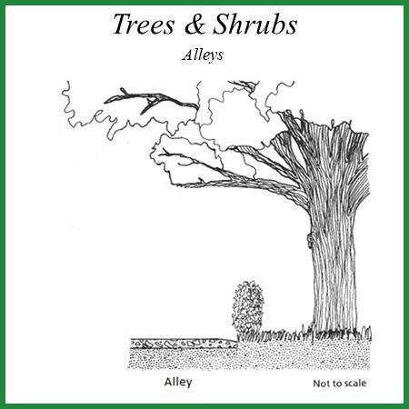 Trees Shrubs Alley Image