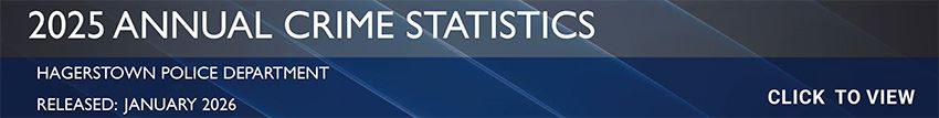 2025 Annual Crime Statistics