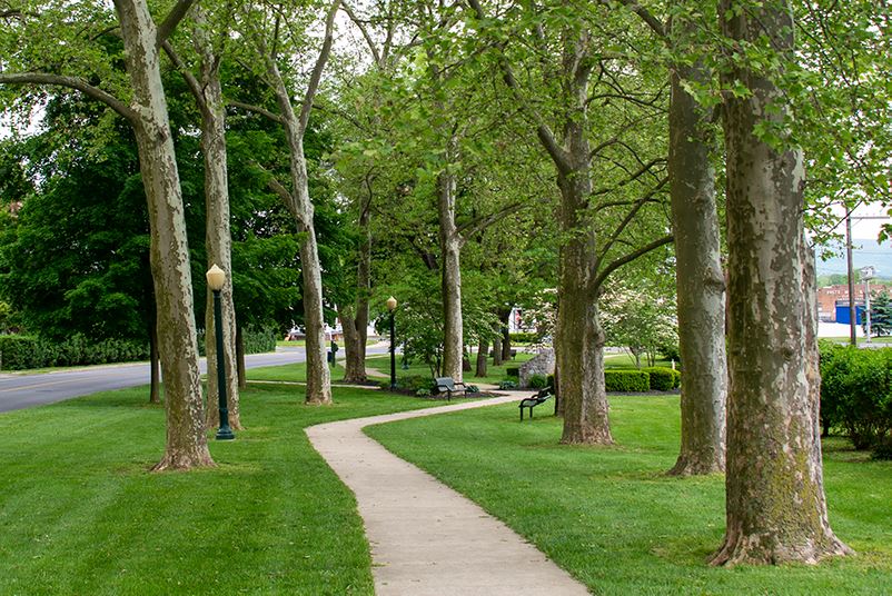 Oswald Park Walking Trail